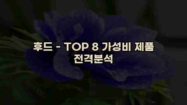 후드 - TOP 8 가성비 제품 전격분석