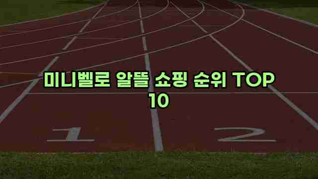 미니벨로 알뜰 쇼핑 순위 TOP 10