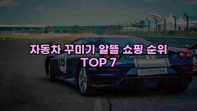 자동차 꾸미기 알뜰 쇼핑 순위 TOP 7