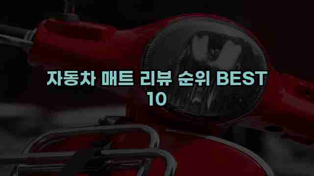 자동차 매트 리뷰 순위 BEST 10