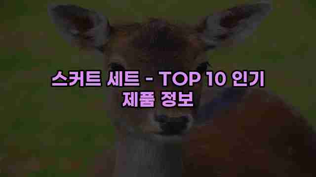 스커트 세트 - TOP 10 인기 제품 정보