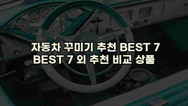  자동차 꾸미기 추천 BEST 7 BEST 7 외 추천 비교 상품