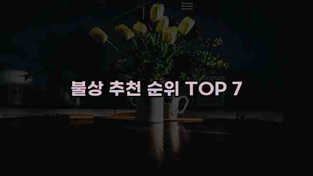 불상 추천 순위 TOP 7