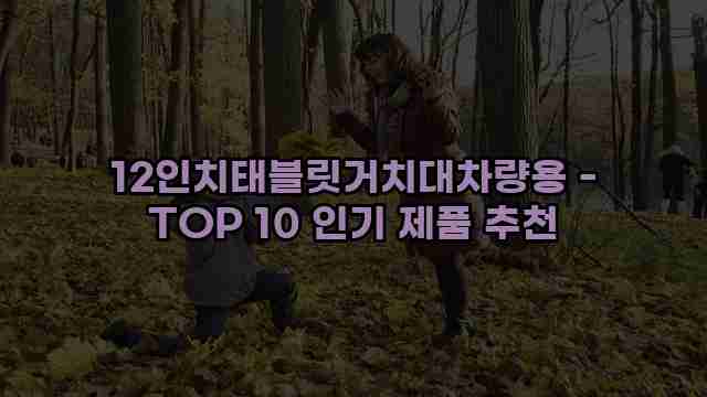 12인치태블릿거치대차량용 - TOP 10 인기 제품 추천