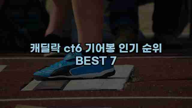 캐딜락 ct6 기어봉 인기 순위 BEST 7