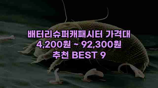 배터리슈퍼캐패시터 가격대 4,200원 ~ 92,300원 추천 BEST 9