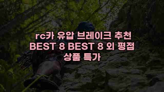  rc카 유압 브레이크 추천 BEST 8 BEST 8 외 평점 상품 특가