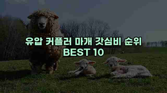 유압 커플러 마개 갓심비 순위 BEST 10