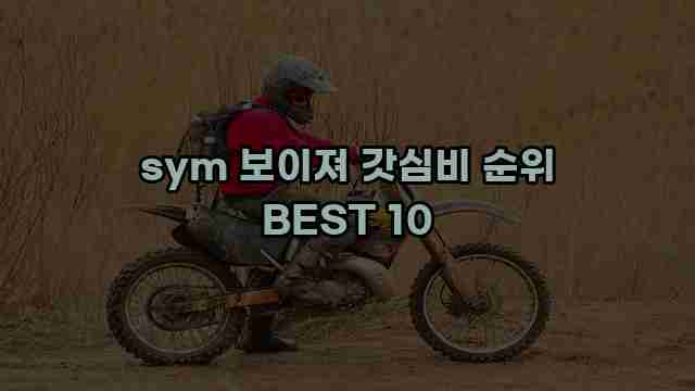 sym 보이져 갓심비 순위 BEST 10