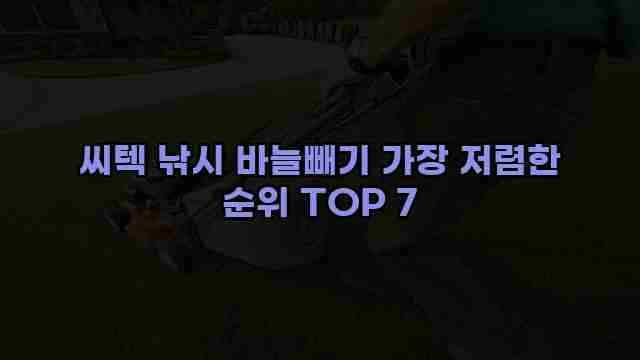 씨텍 낚시 바늘빼기 가장 저렴한 순위 TOP 7