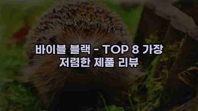 바이블 블랙 - TOP 8 가장 저렴한 제품 리뷰