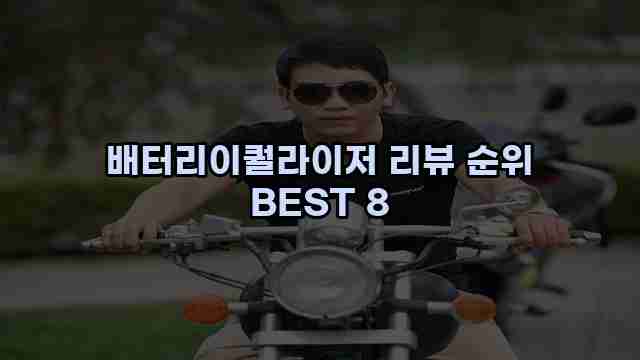 배터리이퀄라이저 리뷰 순위 BEST 8