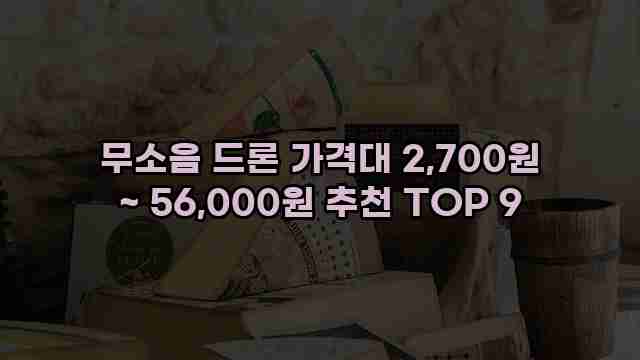 무소음 드론 가격대 2,700원 ~ 56,000원 추천 TOP 9