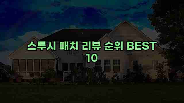 스투시 패치 리뷰 순위 BEST 10