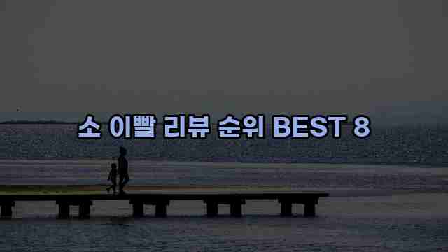 소 이빨 리뷰 순위 BEST 8