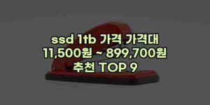 우니재의 알리알리 알리숑 - 33509 - 2024년 10월 08일 1