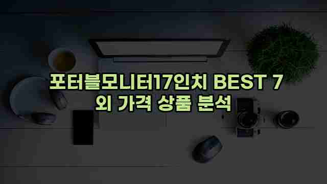  포터블모니터17인치 BEST 7 외 가격 상품 분석