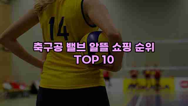 축구공 밸브 알뜰 쇼핑 순위 TOP 10