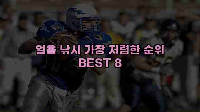 얼음 낚시 가장 저렴한 순위 BEST 8