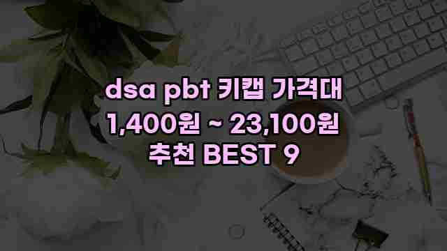 dsa pbt 키캡 가격대 1,400원 ~ 23,100원 추천 BEST 9