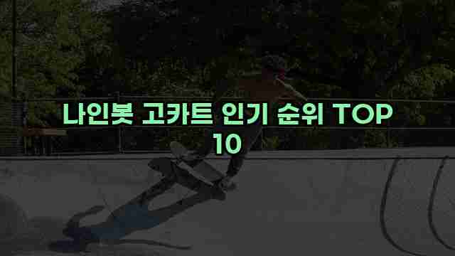 나인봇 고카트 인기 순위 TOP 10