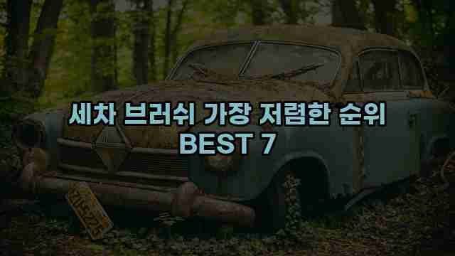 세차 브러쉬 가장 저렴한 순위 BEST 7