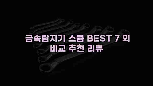  금속탐지기 스쿱 BEST 7 외 비교 추천 리뷰