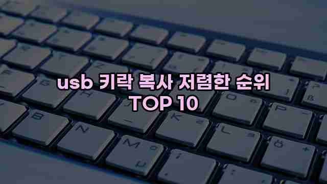 usb 키락 복사 저렴한 순위 TOP 10