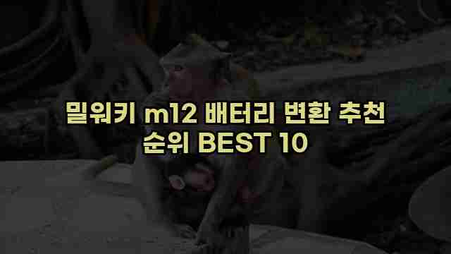 밀워키 m12 배터리 변환 추천 순위 BEST 10