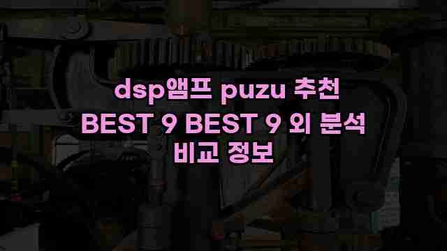  dsp앰프 puzu 추천 BEST 9 BEST 9 외 분석 비교 정보