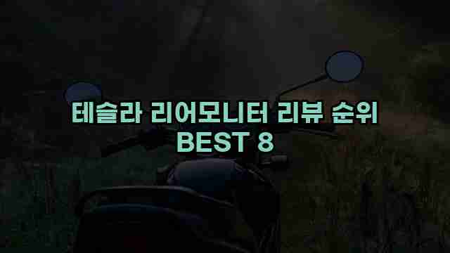 테슬라 리어모니터 리뷰 순위 BEST 8