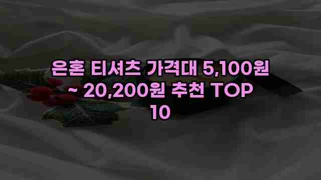 은혼 티셔츠 가격대 5,100원 ~ 20,200원 추천 TOP 10