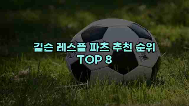 깁슨 레스폴 파츠 추천 순위 TOP 8