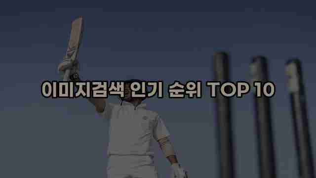 이미지검색 인기 순위 TOP 10