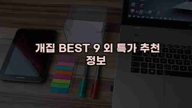  개집 BEST 9 외 특가 추천 정보