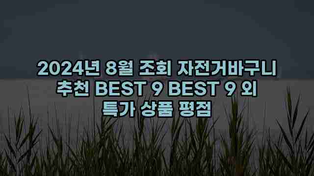 2024년 8월 조회 자전거바구니 추천 BEST 9 BEST 9 외 특가 상품 평점