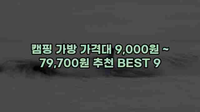 캠핑 가방 가격대 9,000원 ~ 79,700원 추천 BEST 9