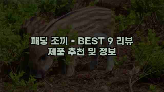 패딩 조끼 - BEST 9 리뷰 제품 추천 및 정보