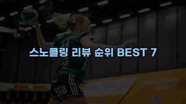 스노클링 리뷰 순위 BEST 7