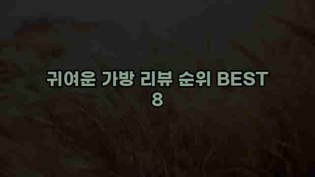 귀여운 가방 리뷰 순위 BEST 8