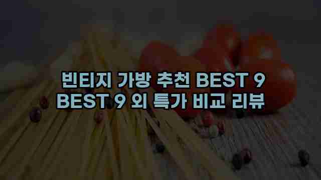  빈티지 가방 추천 BEST 9 BEST 9 외 특가 비교 리뷰