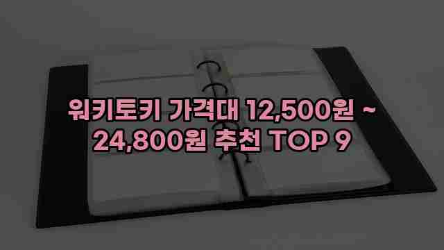 워키토키 가격대 12,500원 ~ 24,800원 추천 TOP 9