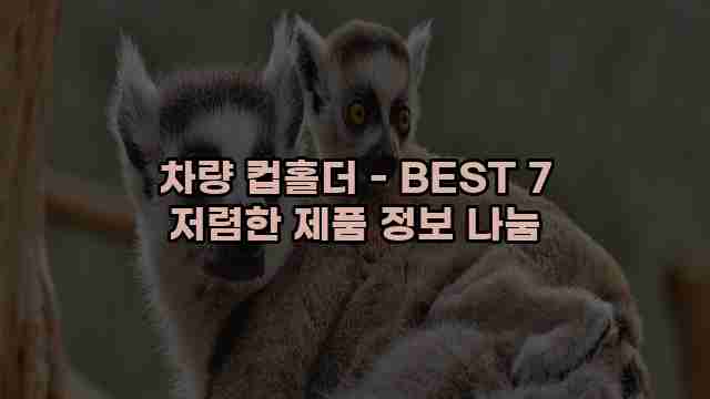 차량 컵홀더 - BEST 7 저렴한 제품 정보 나눔