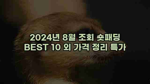 2024년 8월 조회 숏패딩 BEST 10 외 가격 정리 특가