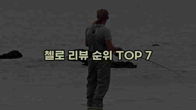 첼로 리뷰 순위 TOP 7