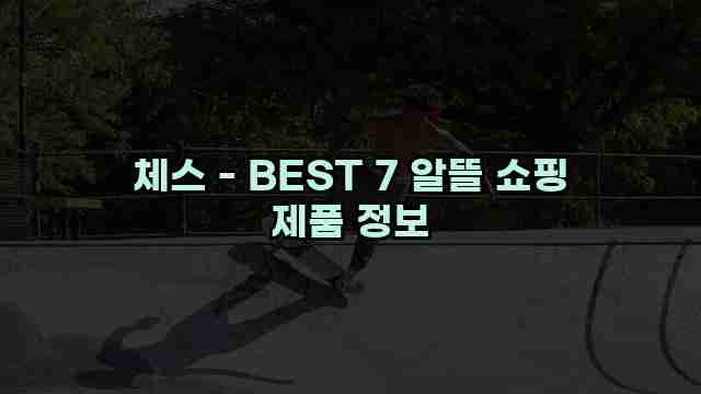 체스 - BEST 7 알뜰 쇼핑 제품 정보