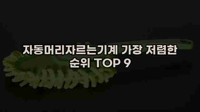 자동머리자르는기계 가장 저렴한 순위 TOP 9