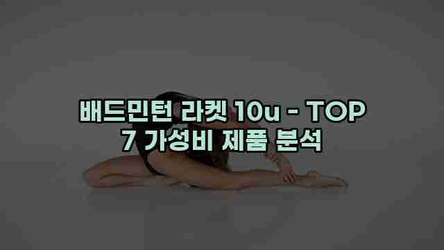 배드민턴 라켓 10u - TOP 7 가성비 제품 분석