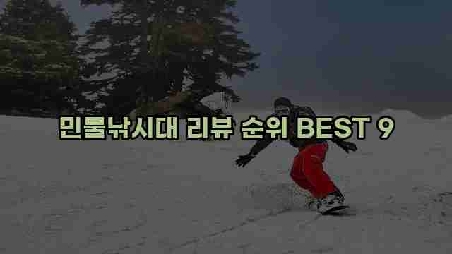 민물낚시대 리뷰 순위 BEST 9