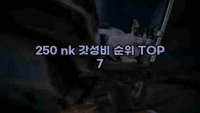 250 nk 갓성비 순위 TOP 7